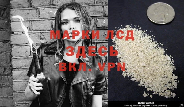 ешки Новодвинск