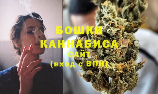 ешки Новодвинск