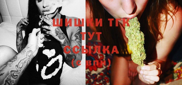 ешки Новодвинск