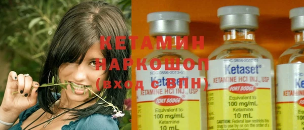 ешки Новодвинск