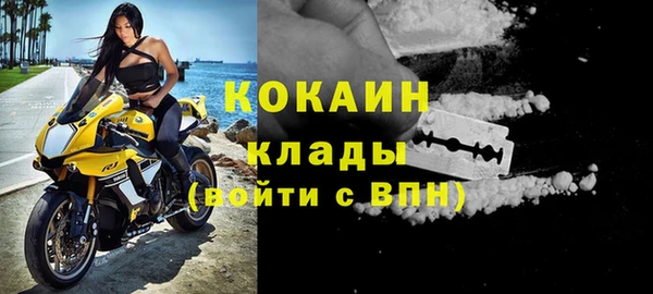 ешки Новодвинск