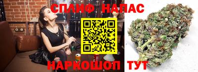 ешки Балаково