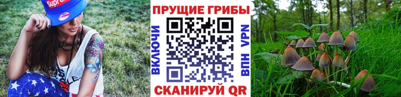 Псилоцибиновые грибы Psilocybe  наркошоп  Гуково 