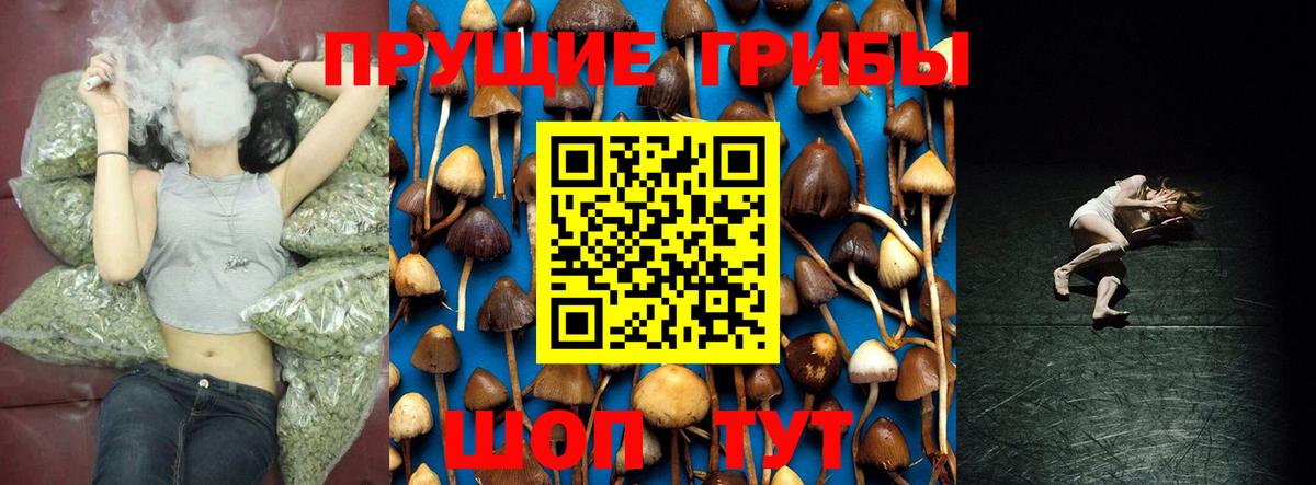 купить   Псилоцибиновые грибы прущие грибы  Вход с VPN  Гуково 