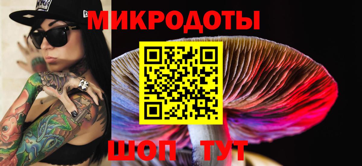 Псилоцибиновые грибы Psilocybe Гуково